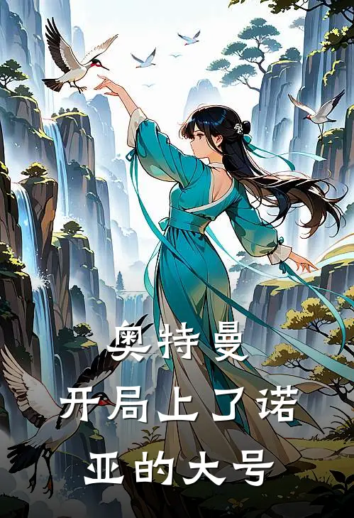 奥特曼：开局上了诺亚的大号